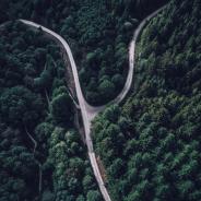 a fork in a forest road seen from above 